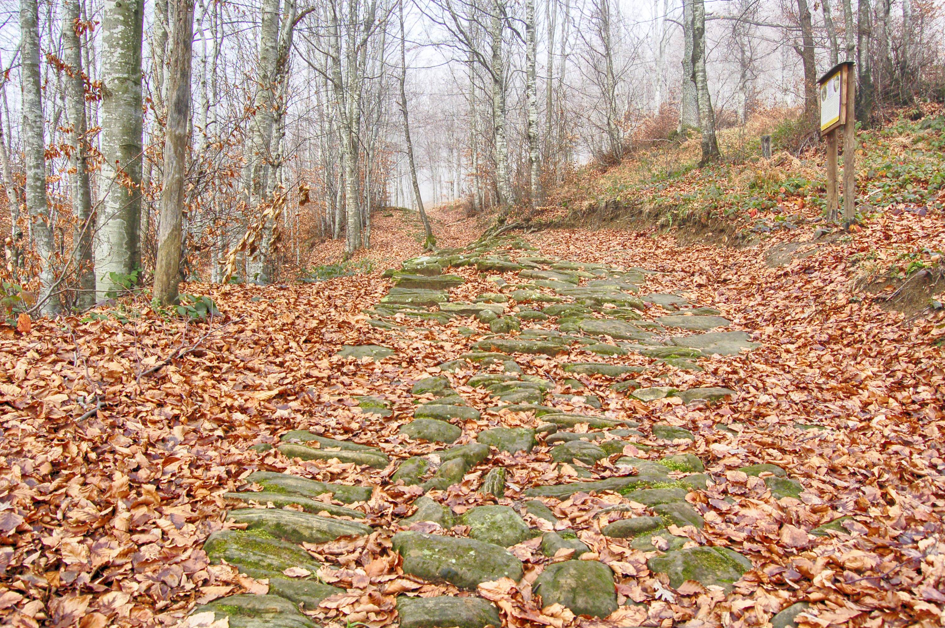 Tratti della pavimentazione in lastricato dell'antica via romana